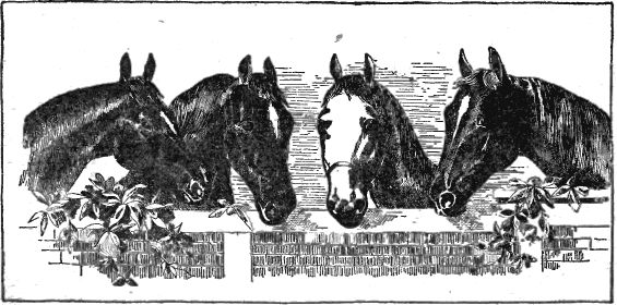 Black Beauty, Young Folks' Edition Illustration 28